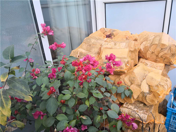 南京江寧湖濱世紀(jì)花園丹麥進(jìn)口壁爐安裝.jpg