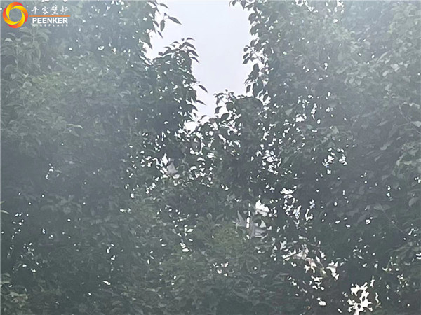 江蘇無錫中堂院墅丹麥壁爐morso 2140安裝.jpg