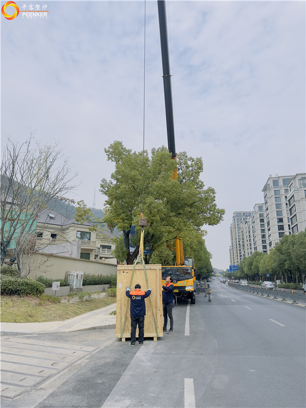諸暨綠城玫瑰園別墅法國TOTEM F1100壁爐安裝.jpg